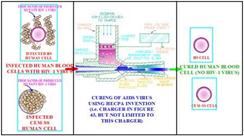 Description: Description: C:\Users\Hamade\Desktop\R&D PHOTOS\AIDS HYPOTHESIS TREATMENT HAMADE.jpg